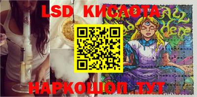прущие грибы Пенза