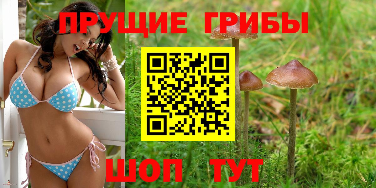 Псилоцибиновые грибы ЛСД  Вход с VPN  Рязань 
